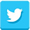 Twitter Icon