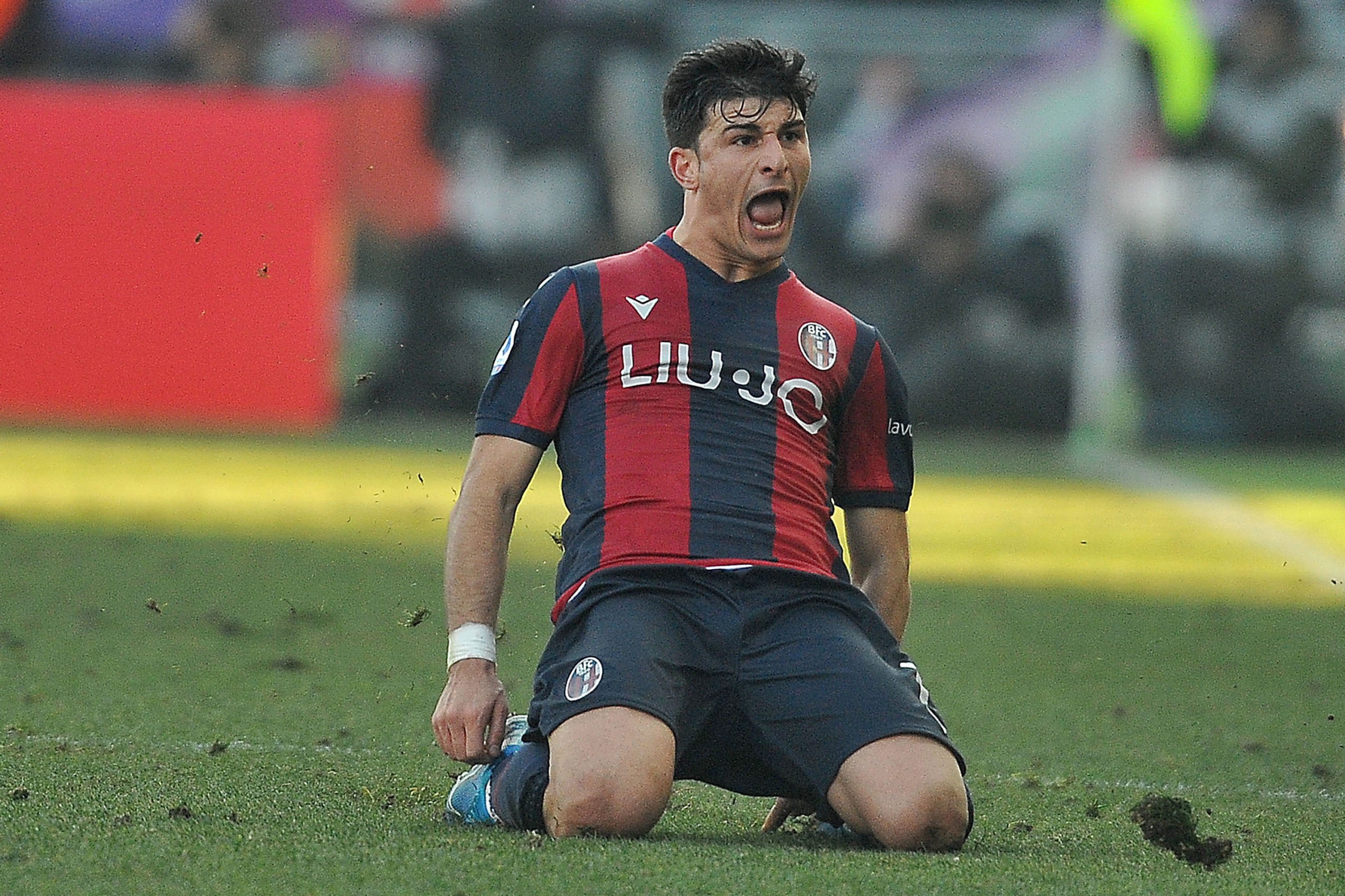 Orsolini