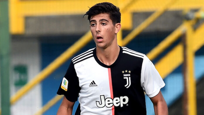 ranocchia