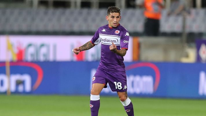 Torreira