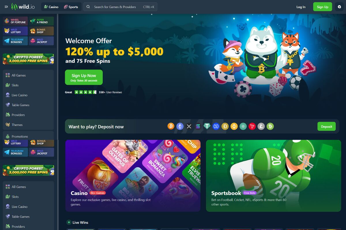 wild.io krypto kasino